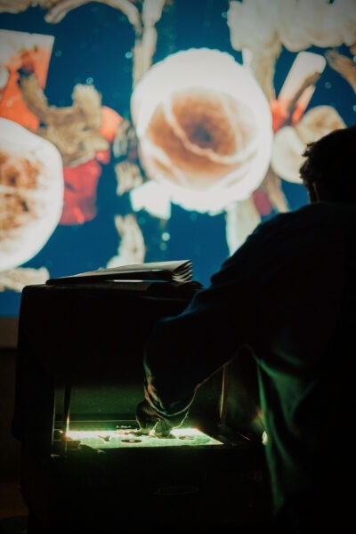 camille_oliveri_photographe_Vidéo-mallette - Jérôme Lopez